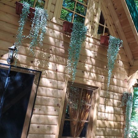 Brvnara Fairy Tale Villa Cetinje Luaran gambar