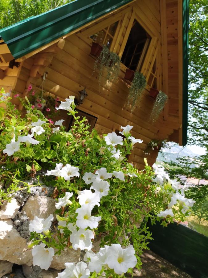 Brvnara Fairy Tale Villa Cetinje Luaran gambar