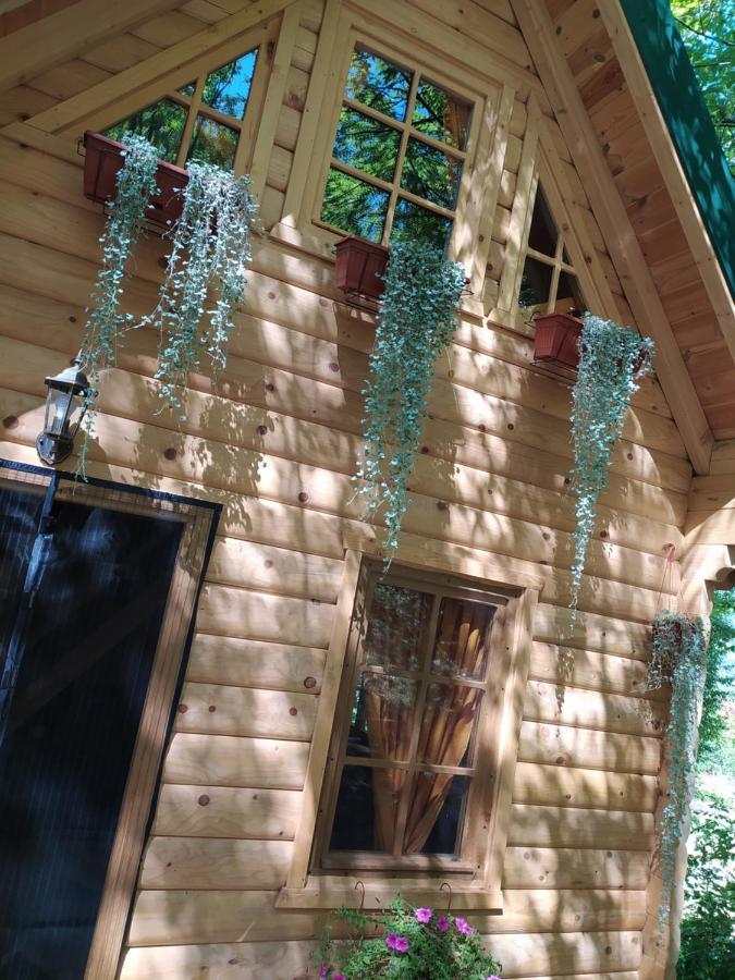 Brvnara Fairy Tale Villa Cetinje Luaran gambar