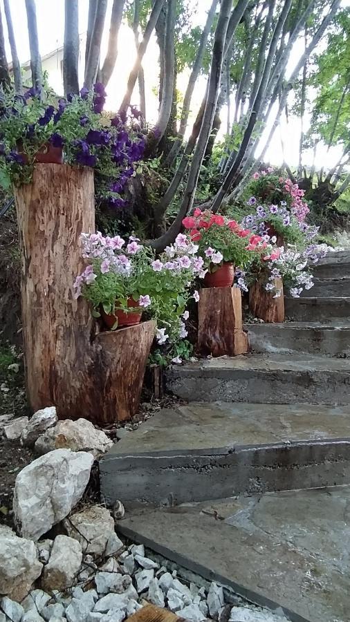 Brvnara Fairy Tale Villa Cetinje Luaran gambar