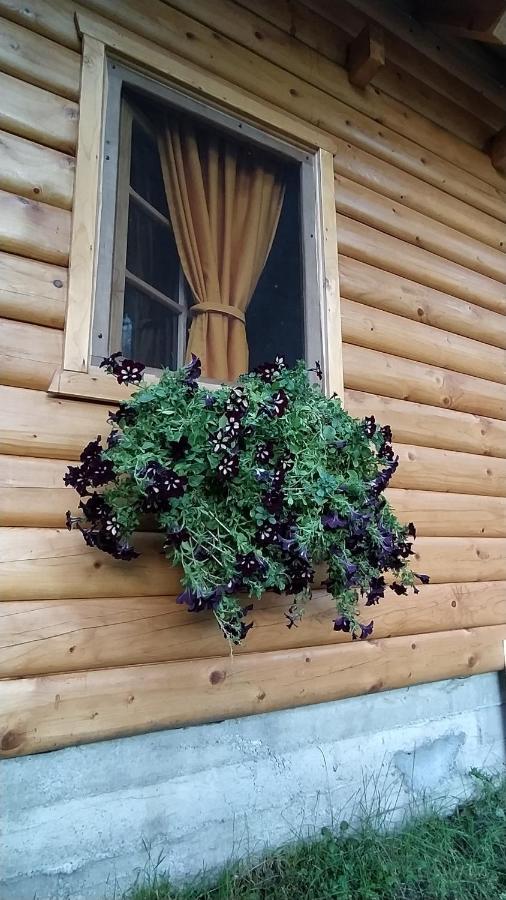 Brvnara Fairy Tale Villa Cetinje Luaran gambar