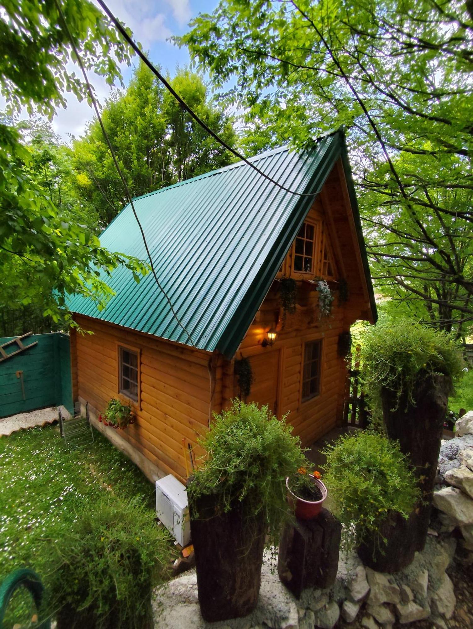 Brvnara Fairy Tale Villa Cetinje Luaran gambar