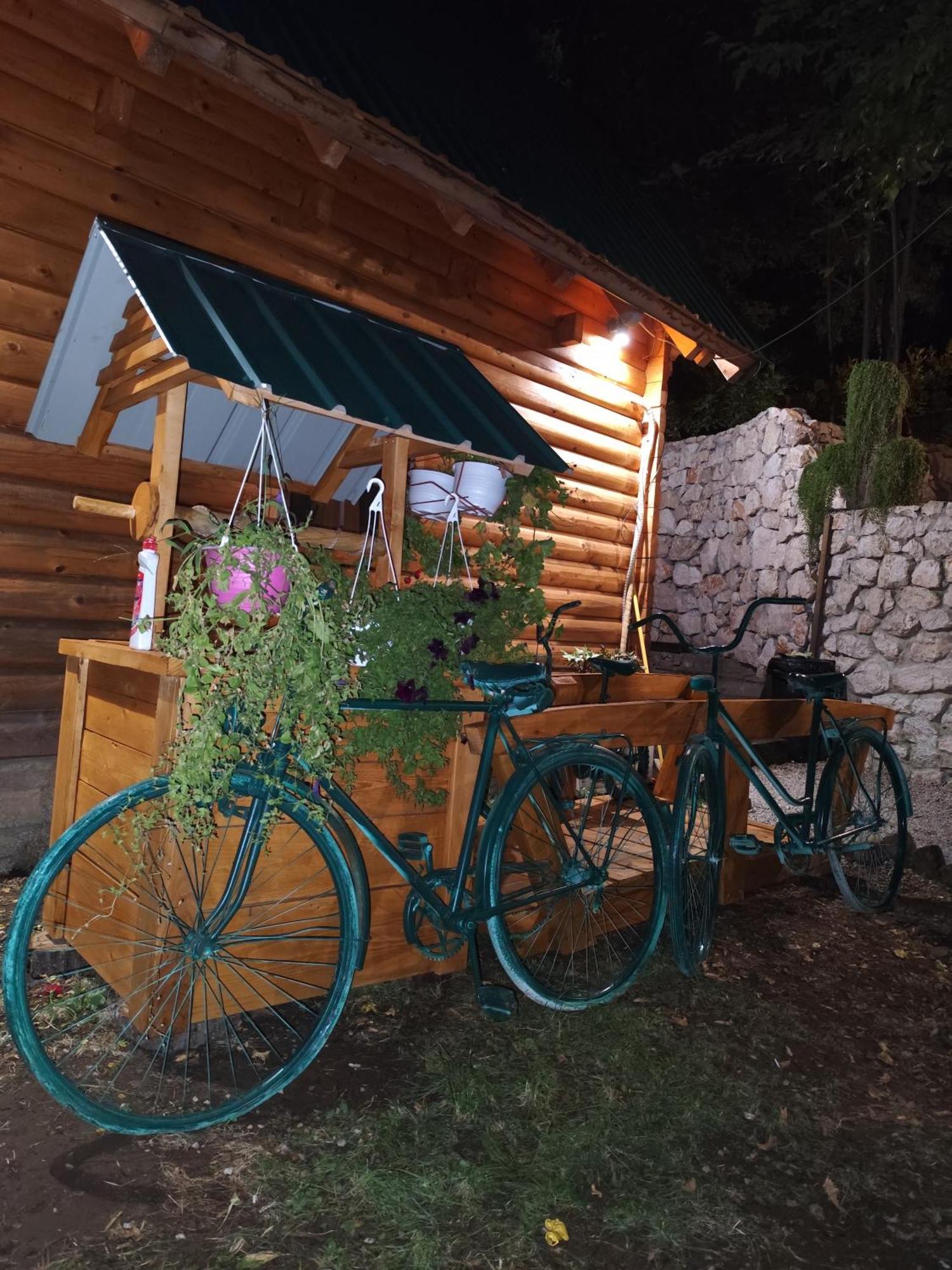 Brvnara Fairy Tale Villa Cetinje Luaran gambar